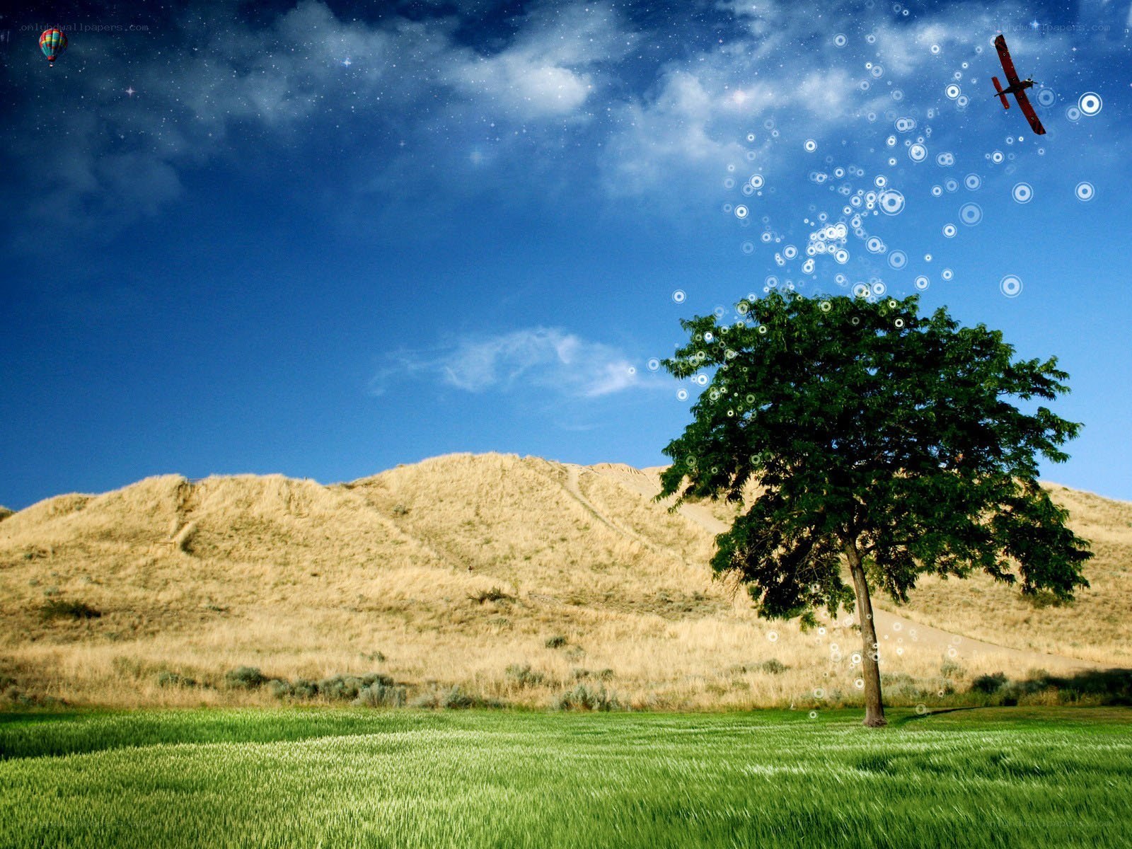 Tree in a green field