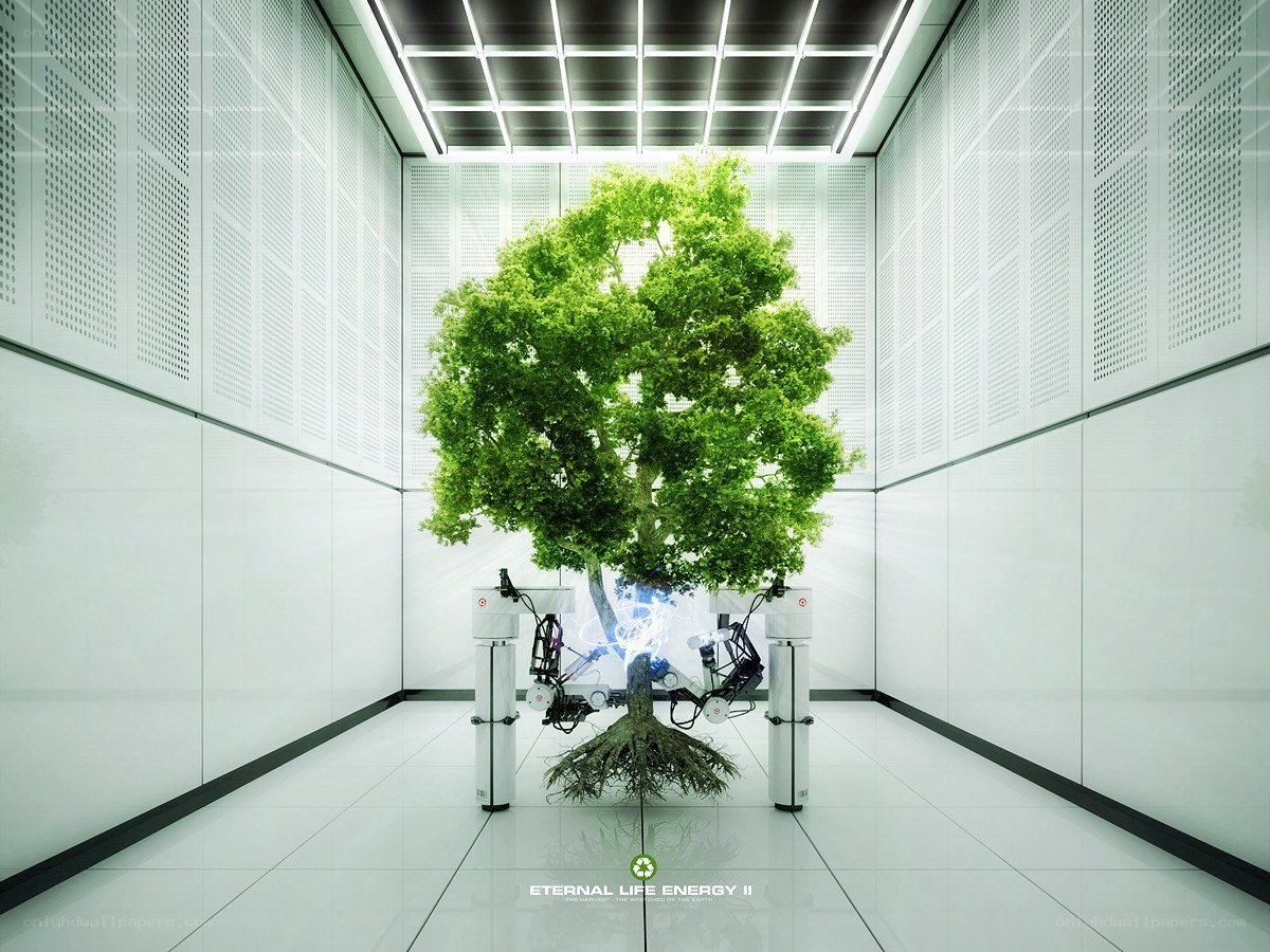 Tree in a lab
