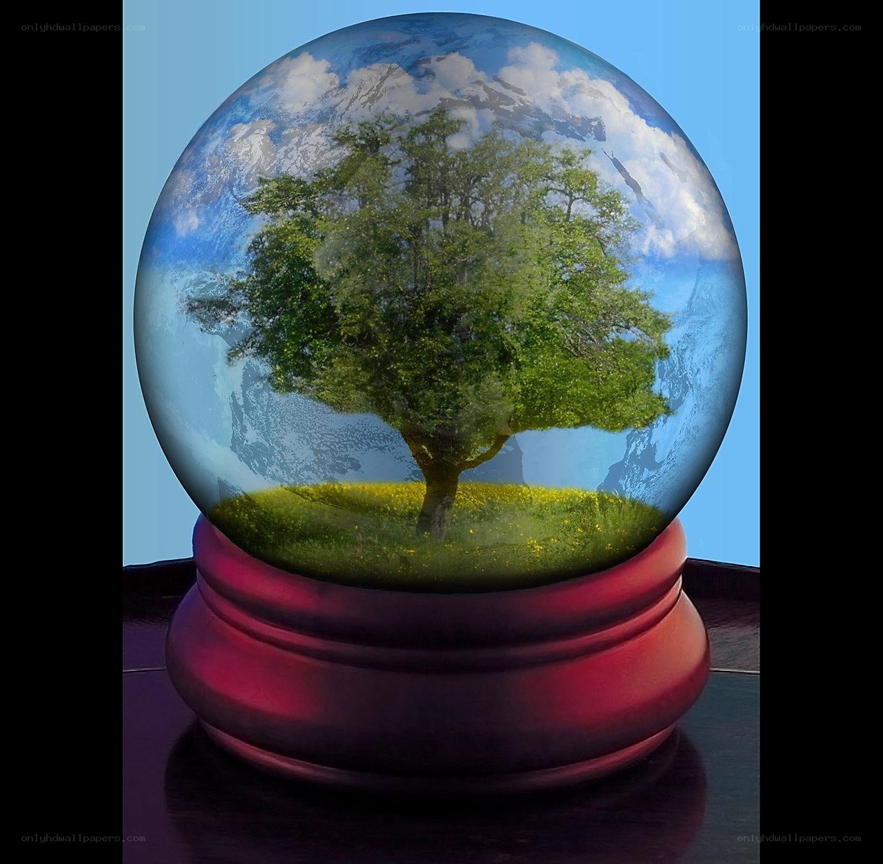 Tree in a snow globe
