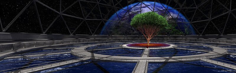Tree in a space dome