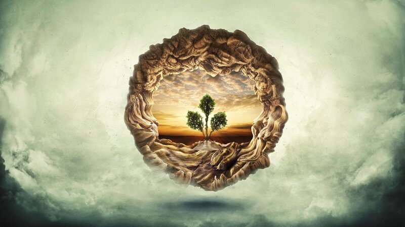 tree in a stone ring