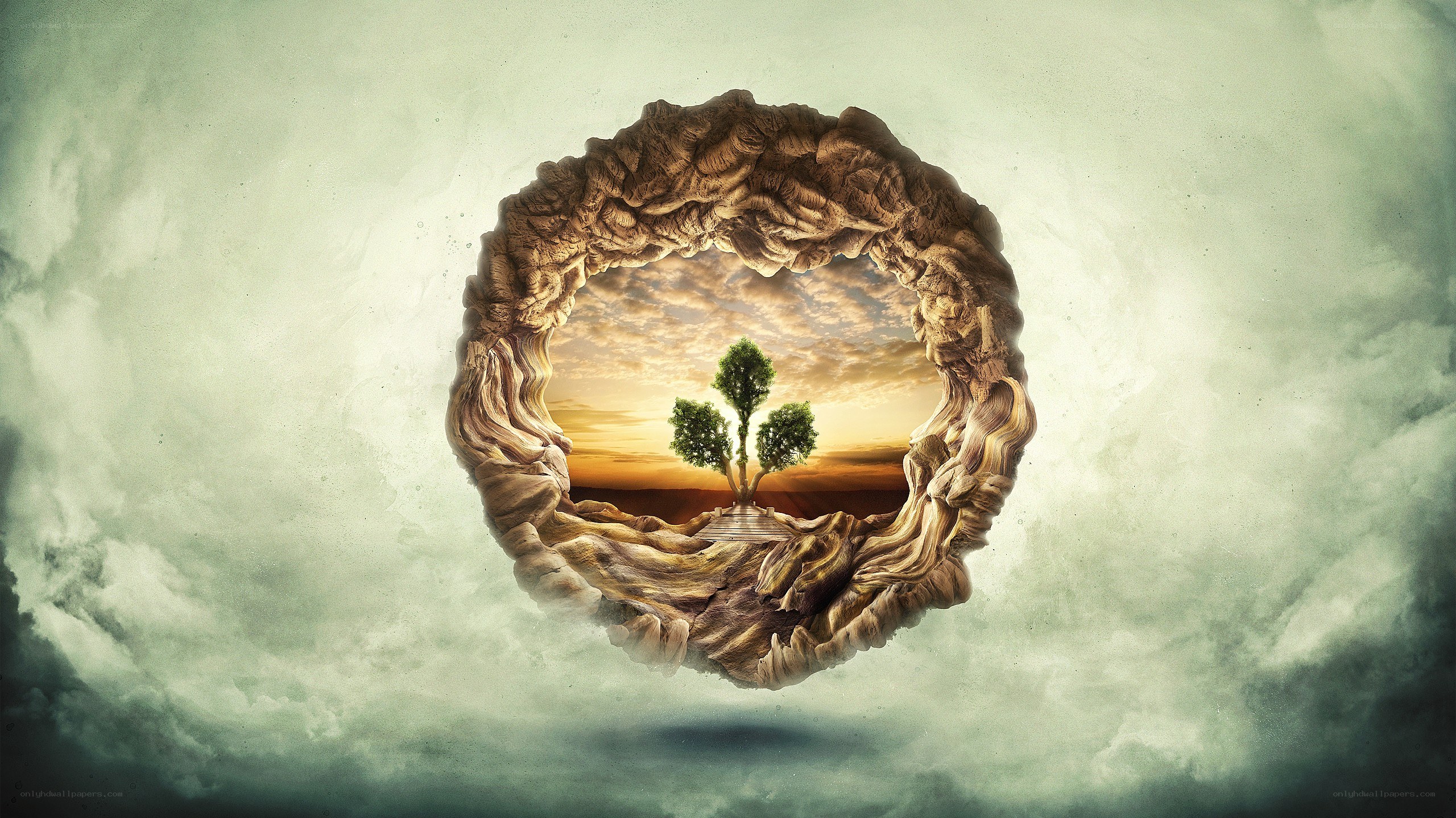tree in a stone ring