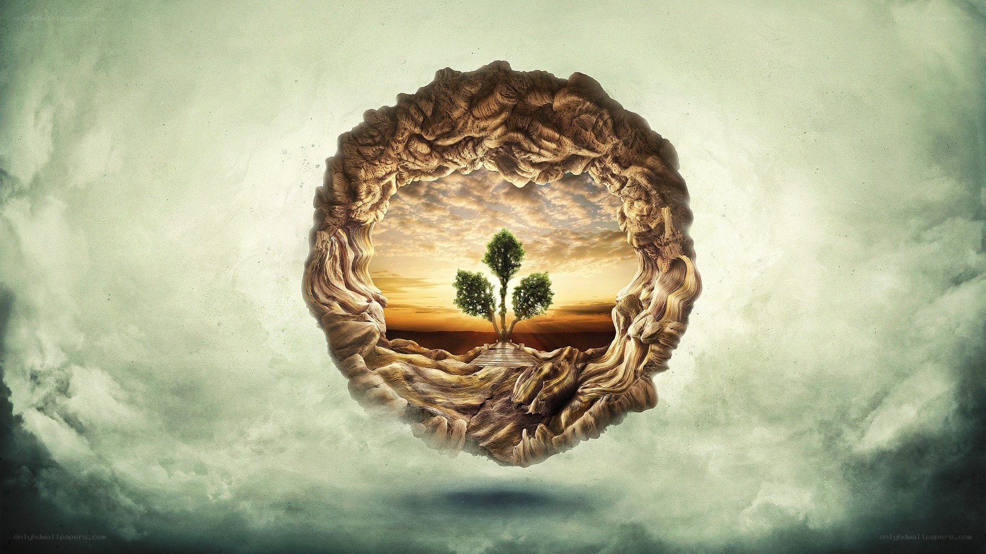 tree in a stone ring