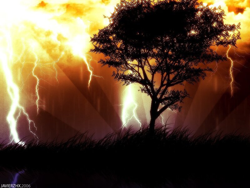 Tree in a stormy sunset