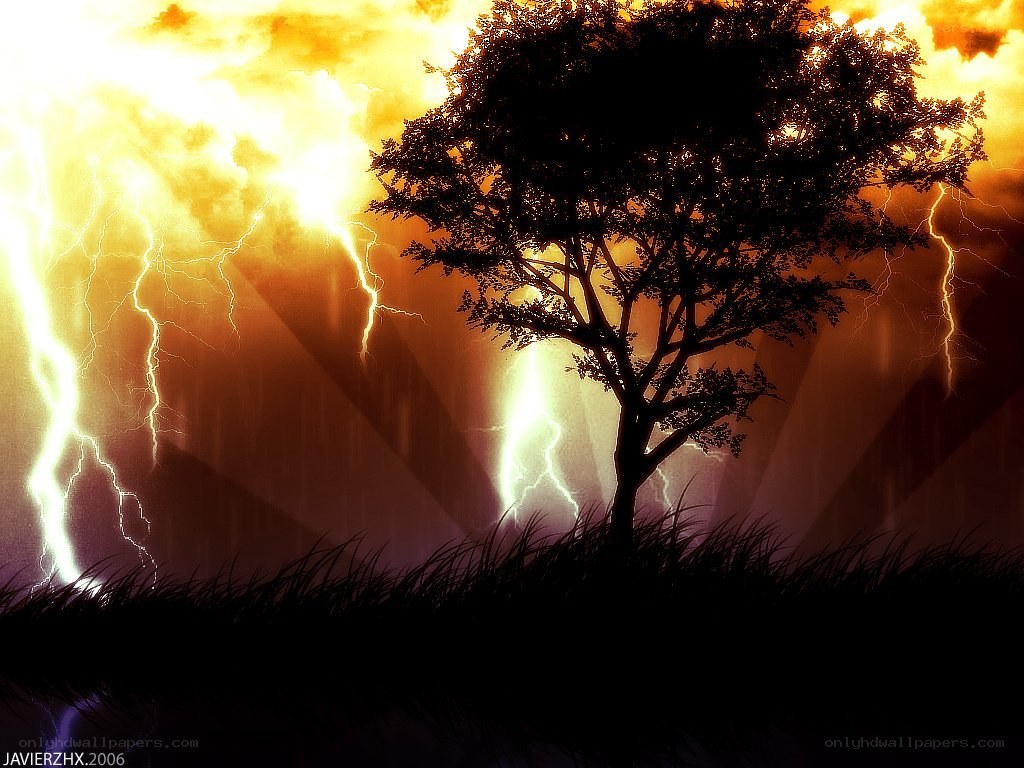 Tree in a stormy sunset