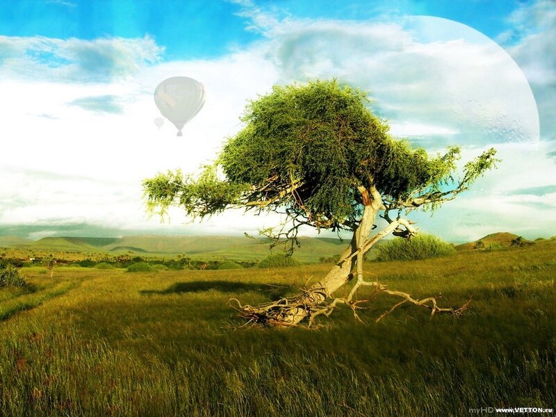 Tree in a surreal landscape