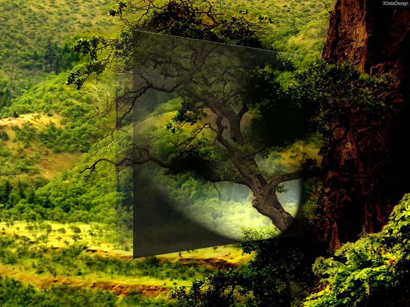 Tree in a Valley — Green