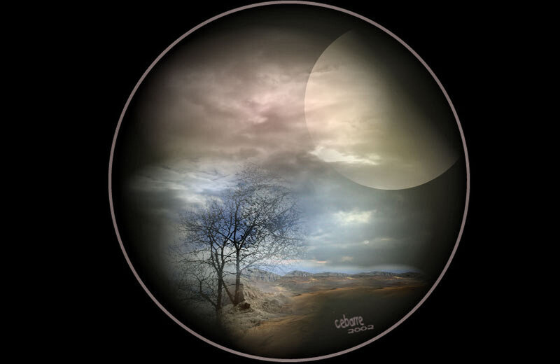 Tree in Barren Landscape