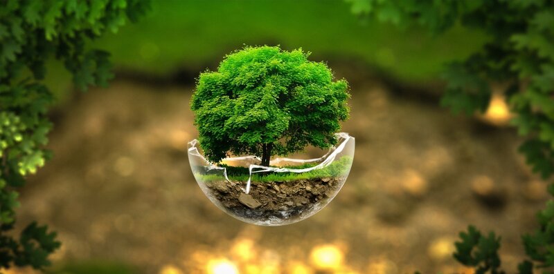 Tree in Broken Sphere