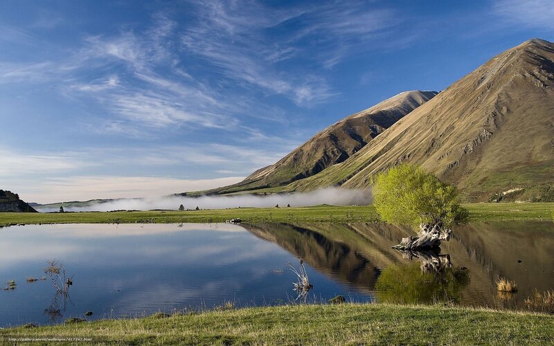Tree in Calm Lake — Blue