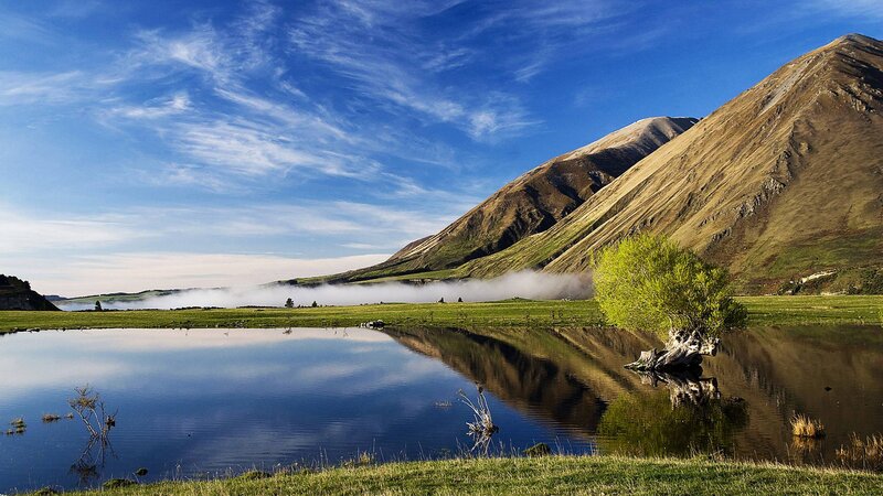 Tree in Calm Lake