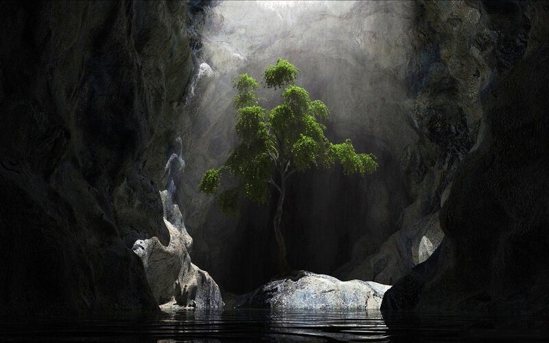 Tree in Cave with Water — Green