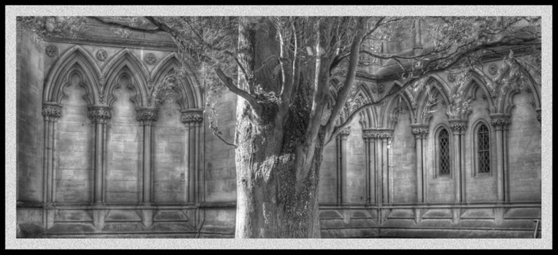 Tree in Courtyard — Black
