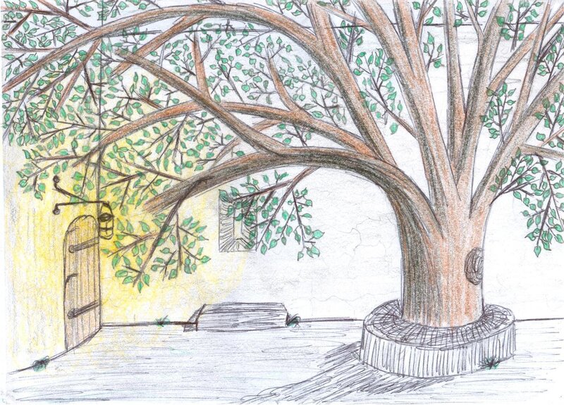 Tree in Courtyard — Green