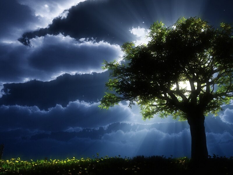 Tree in Field at Night — Blue, Dramatic