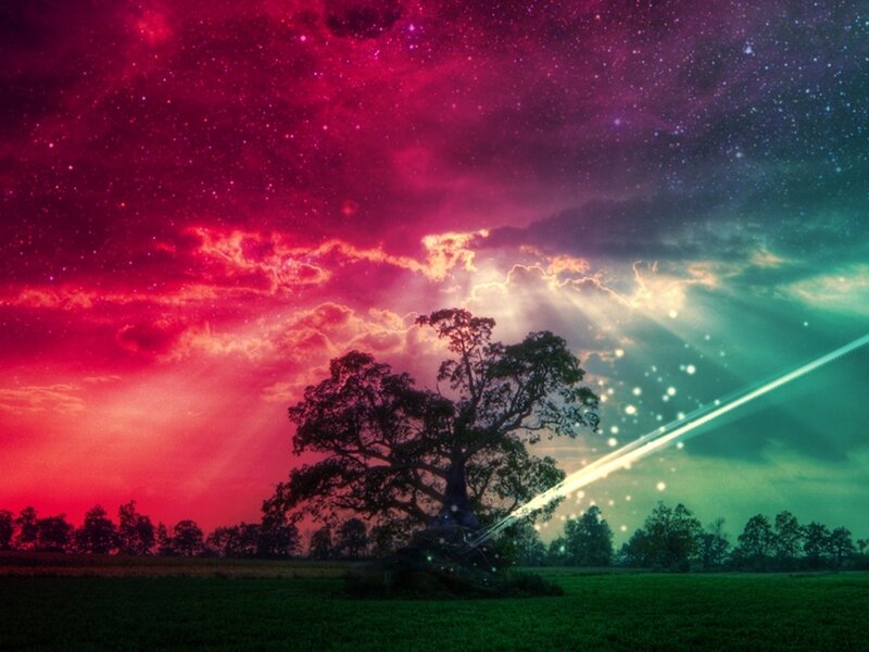 Tree in Field at Night