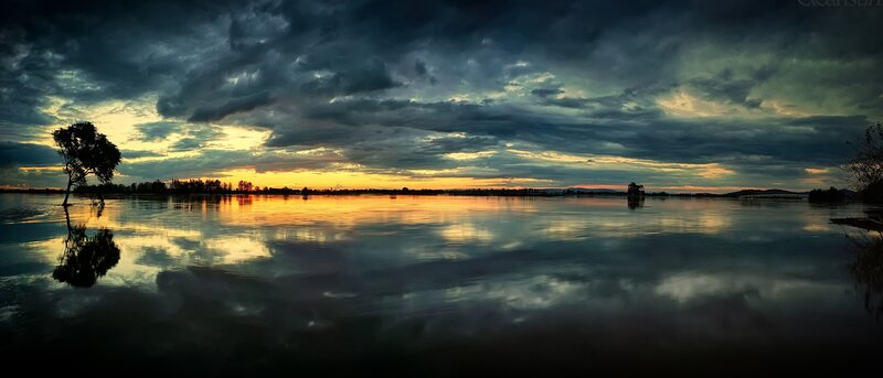 Tree in Flooded Landscape — Orange
