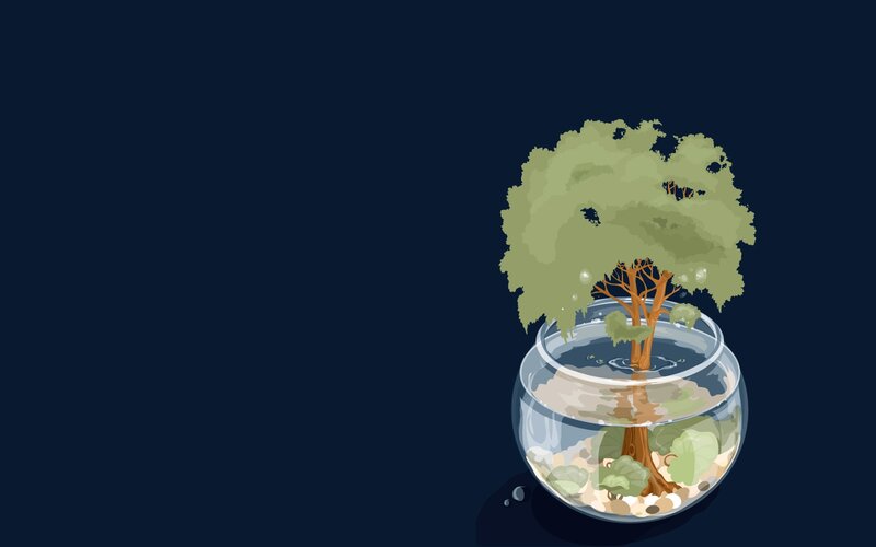 Tree in Glass Bowl