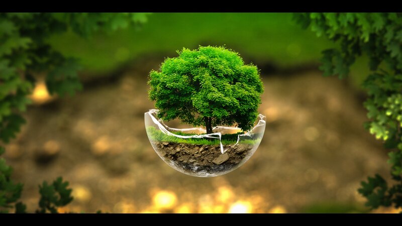 Tree in Glass Sphere — Green