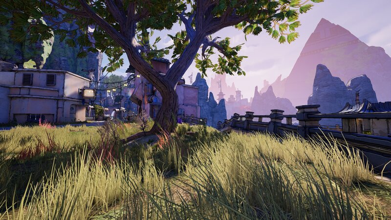 Tree in Grassy Area