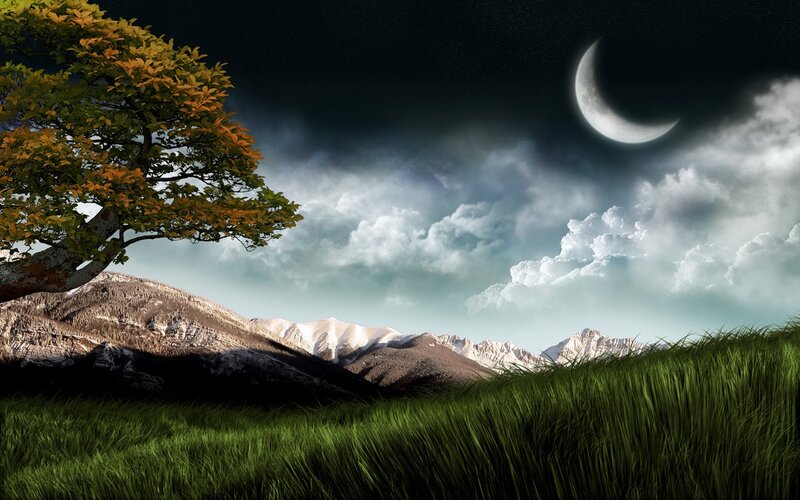 Tree in Grassy Field — Green, Dramatic, Night