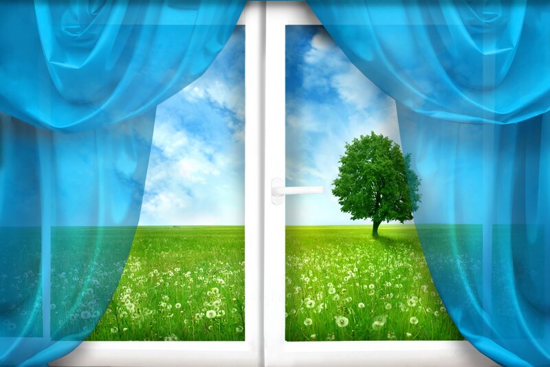 Tree in Green Field — Blue, Serene, Afternoon