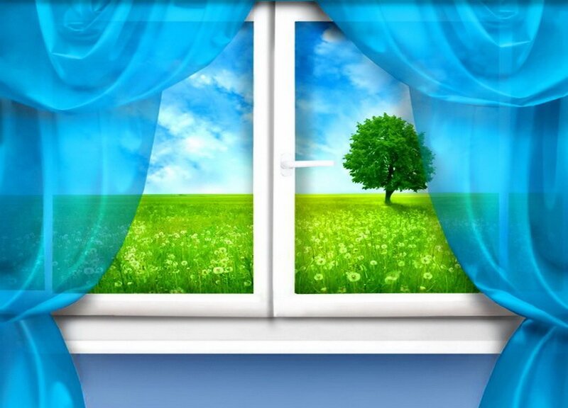 Tree in Green Field — Blue, Serene