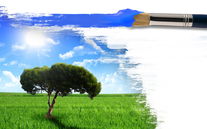 Tree in Green Field — Serene, Afternoon