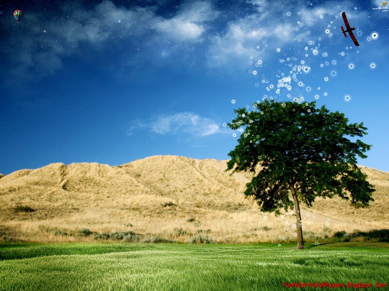 Tree in Green Field — Serene