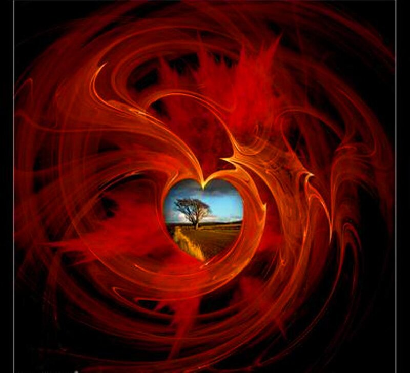 Tree in Heart-shaped Frame — Red