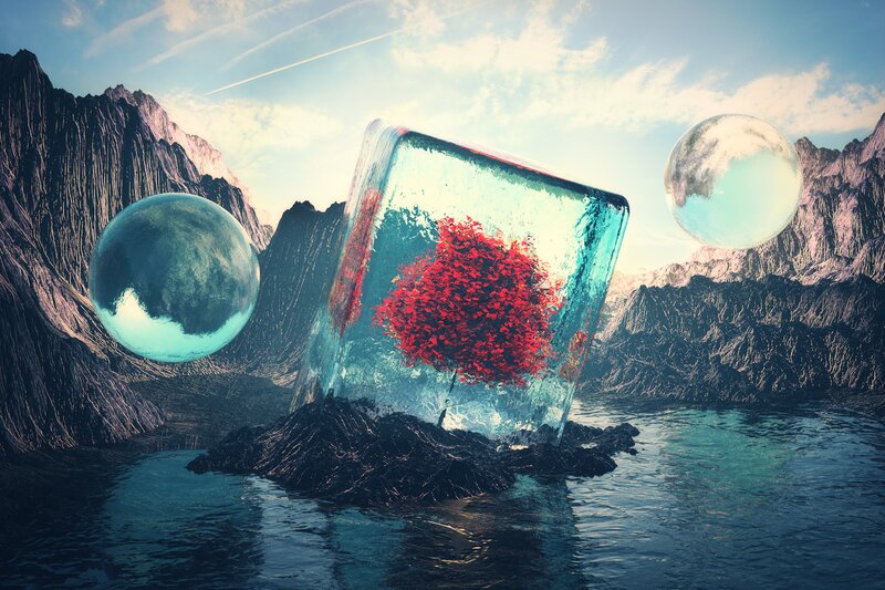 Tree in Ice Cube