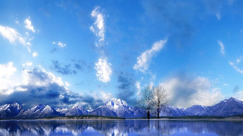 Tree in Lake with Mountains