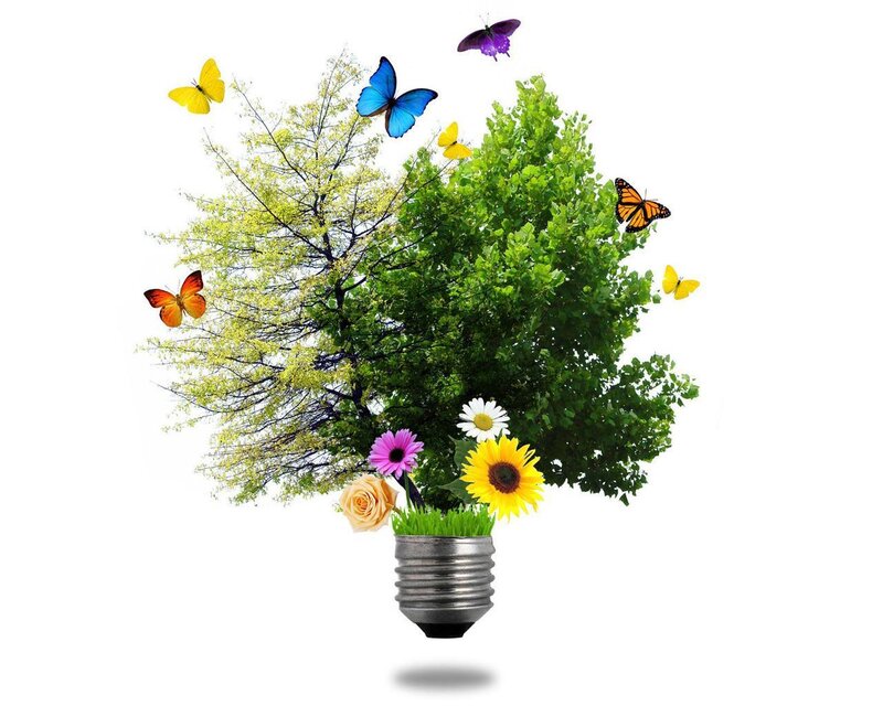 Tree in Light Bulb