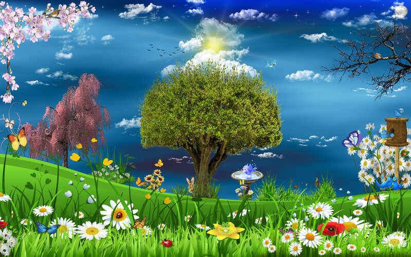 Tree in Meadow — Green, Serene