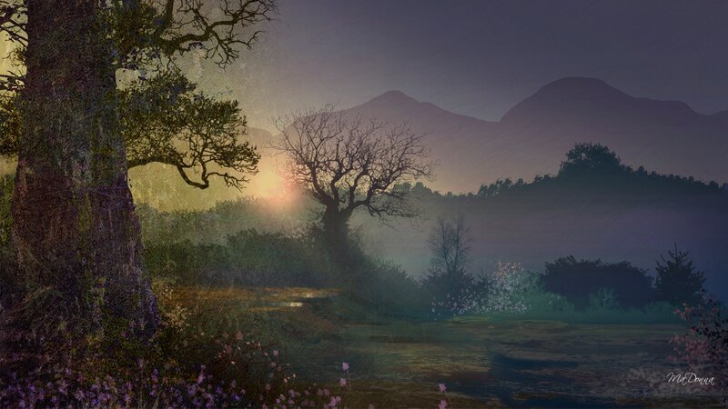 Tree in Misty Valley