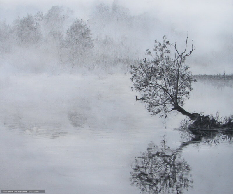 Tree in Misty Water