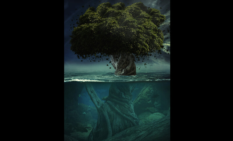 Tree in Ocean Water — Green