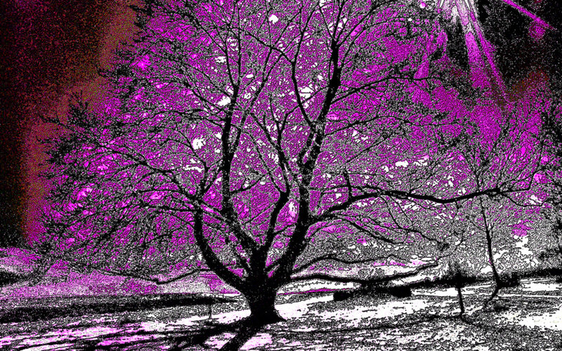 Tree in Purple Landscape — Dramatic