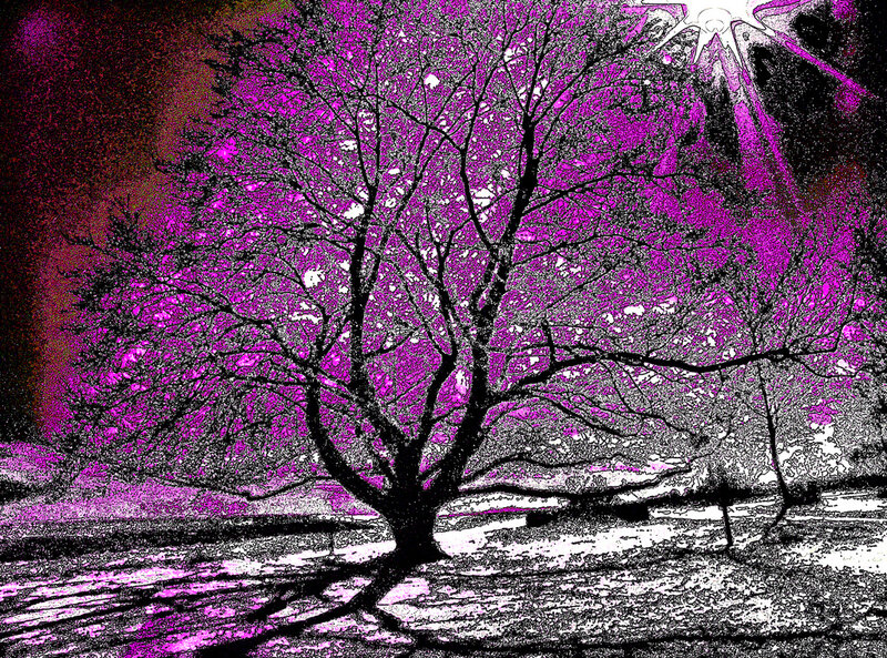 Tree in Purple Landscape