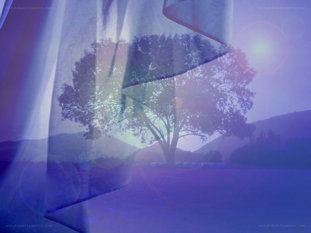 tree in purple light