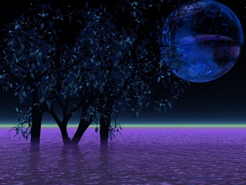 Tree in Purple Water