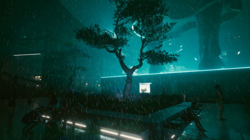 Tree in Rainy Plaza
