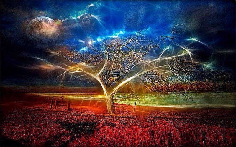 Tree in Red Field — Dramatic