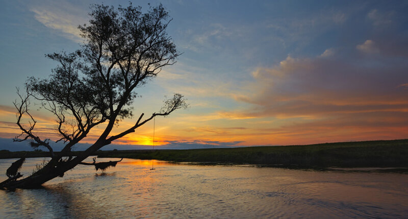 Tree in River at Sunset