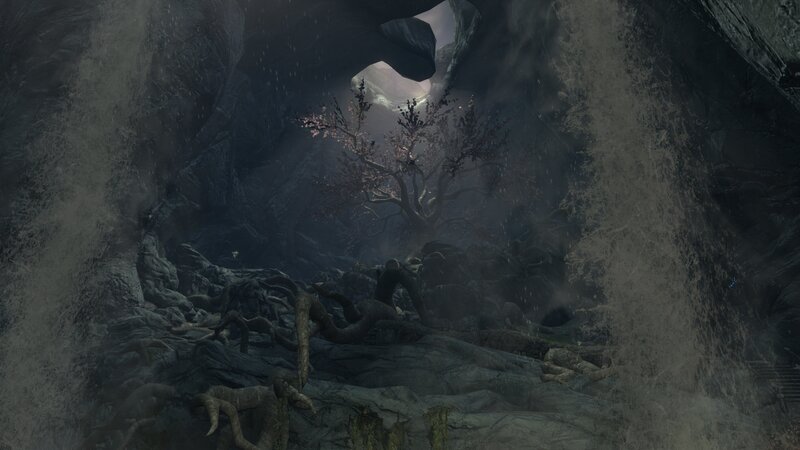 Tree in Rocky Cave