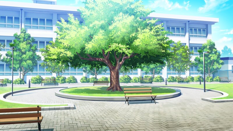 Tree in School Courtyard