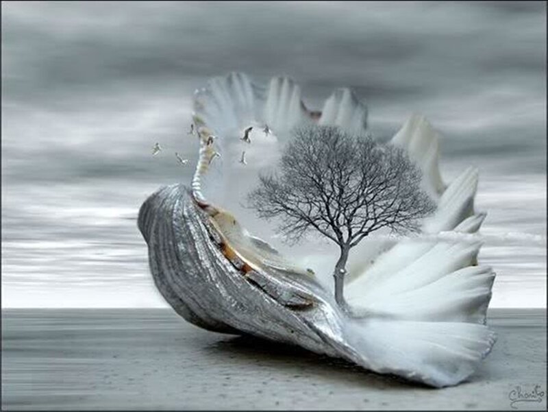 Tree in Seashell