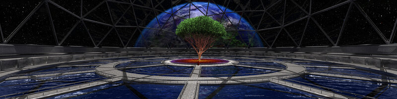 Tree in space dome