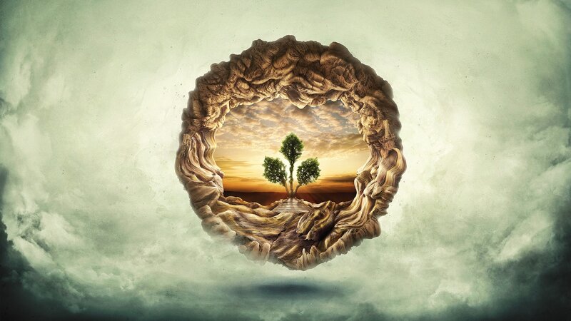 Tree in Stone Ring