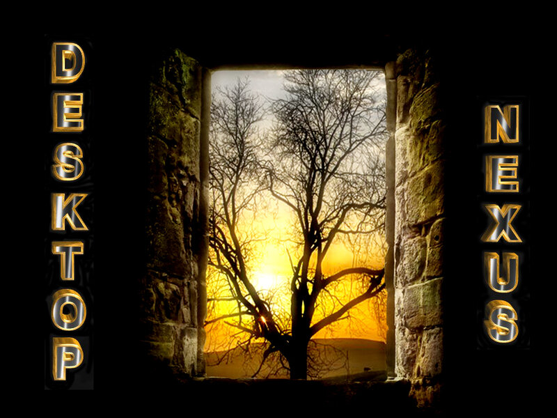 Tree in Stone Window